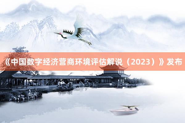 《中国数字经济营商环境评估解说（2023）》发布