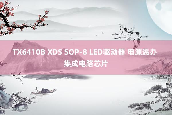 TX6410B XDS SOP-8 LED驱动器 电源惩办 集成电路芯片