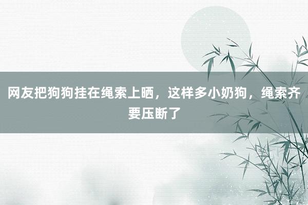 网友把狗狗挂在绳索上晒，这样多小奶狗，绳索齐要压断了