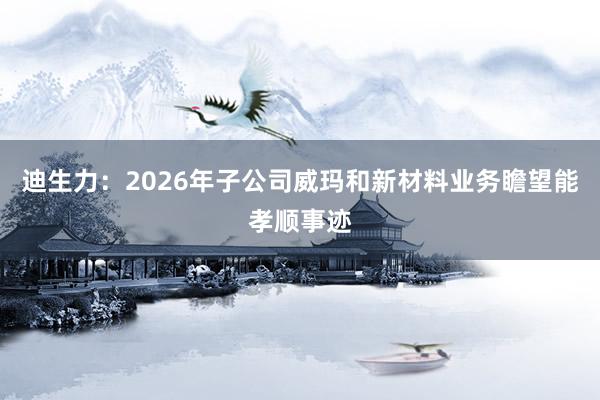 迪生力：2026年子公司威玛和新材料业务瞻望能孝顺事迹