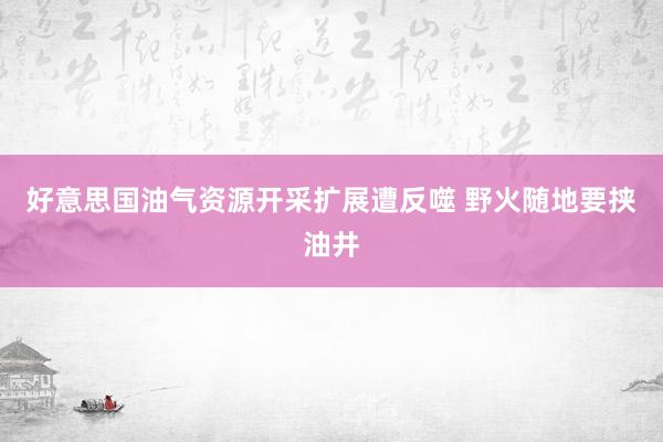 好意思国油气资源开采扩展遭反噬 野火随地要挟油井