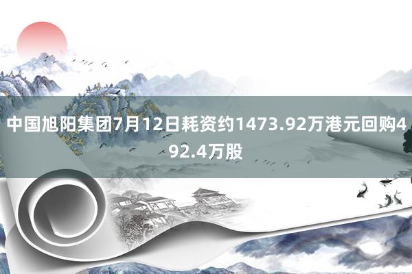 中国旭阳集团7月12日耗资约1473.92万港元回购492.4万股