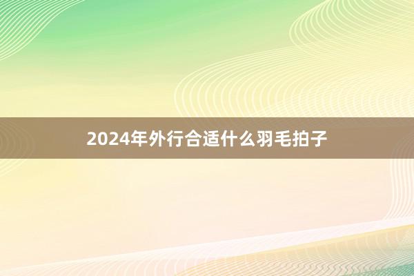 2024年外行合适什么羽毛拍子