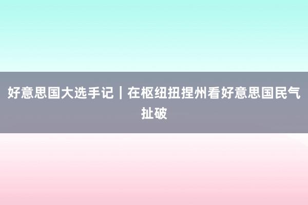 好意思国大选手记｜在枢纽扭捏州看好意思国民气扯破