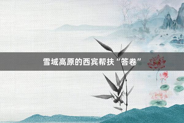 雪域高原的西宾帮扶“答卷”